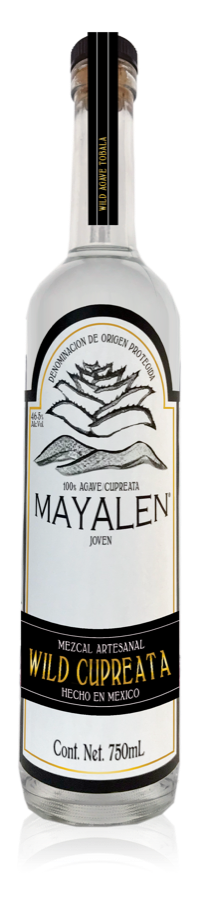 Mayalen Cupreata 46°
