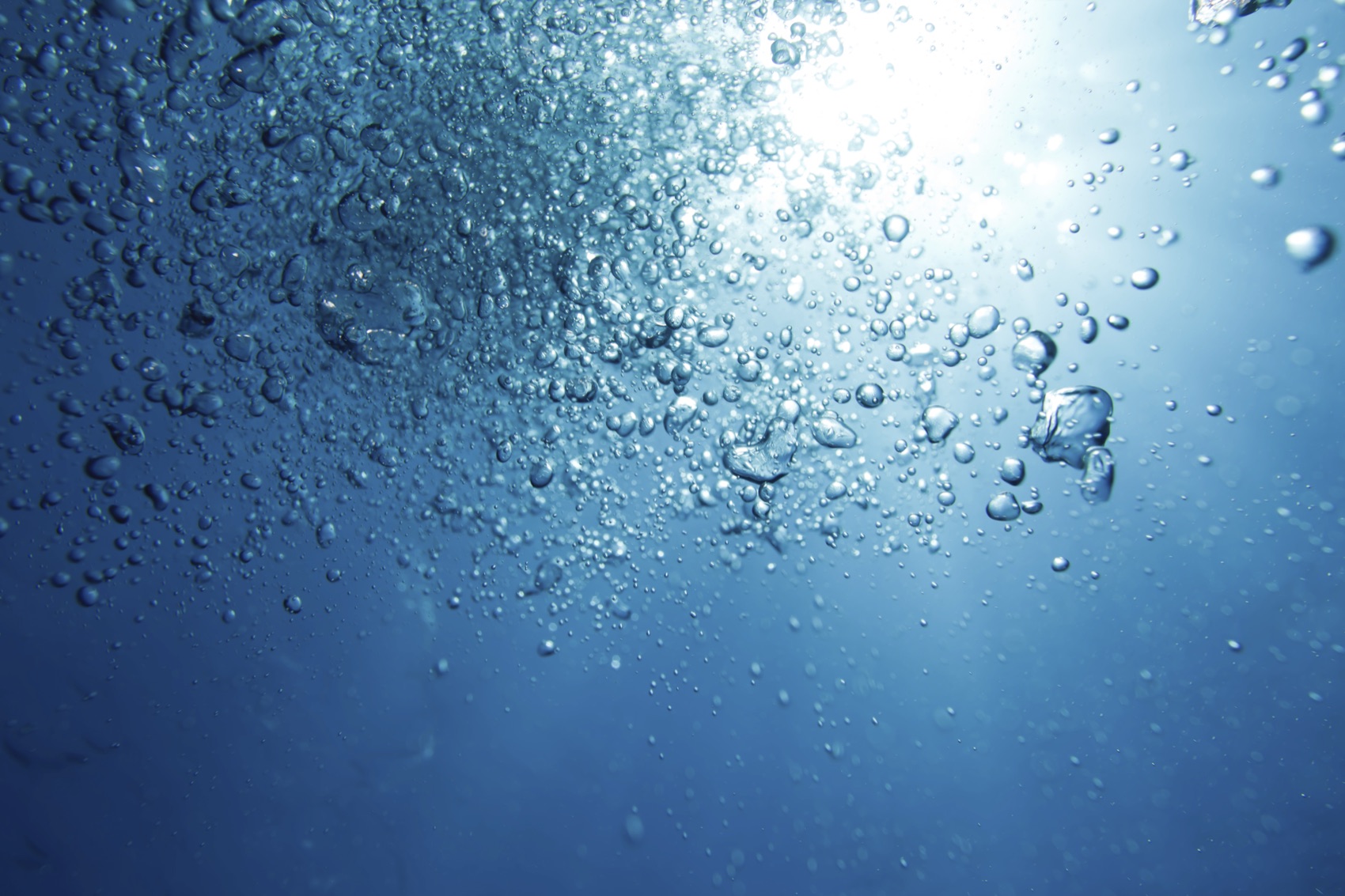 SigriCo — offshore aquaculture